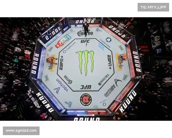 苏木达尔基重返UFC蝇量级前十 新排名震动格斗圈